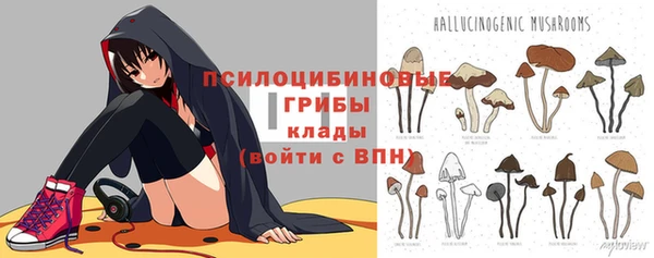 прущая мука Алзамай