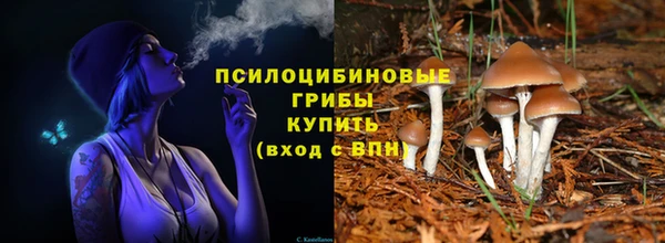 синтетический гашиш Алексеевка