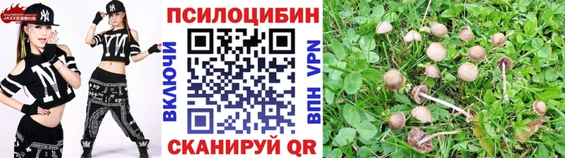 Галлюциногенные грибы мухоморы  Курлово 